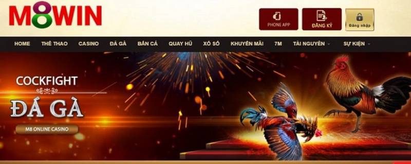 Đăng nhập 3 Login M8 Win bị chặn