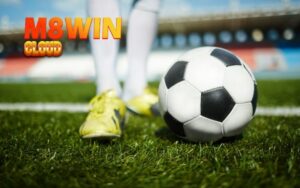 AFF Cup Là Gì