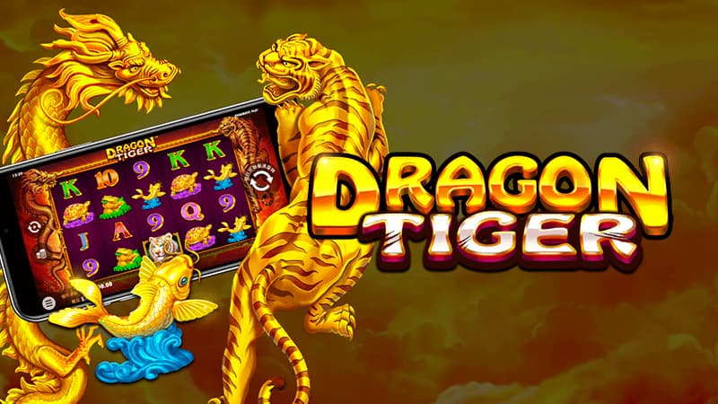 Dragon Tiger M8win: Luật chơi chuẩn và mẹo cược hay nhất 3 Cửa Hoà